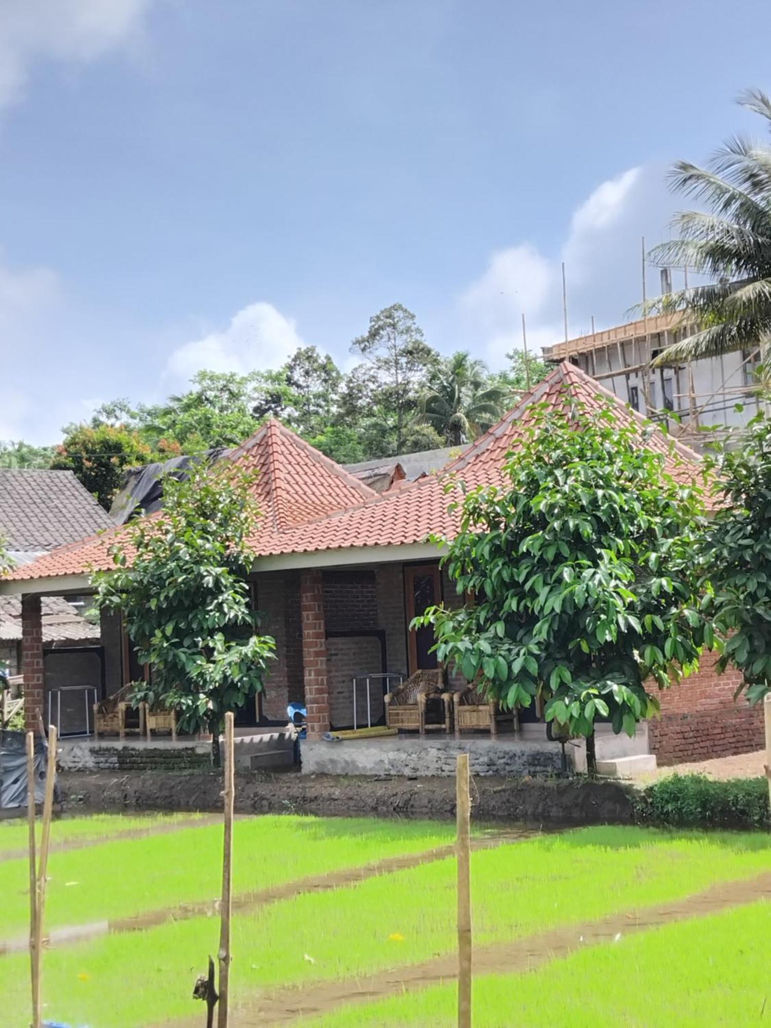 Tereng Wilis Bungalows Tetebatu Chambre photo