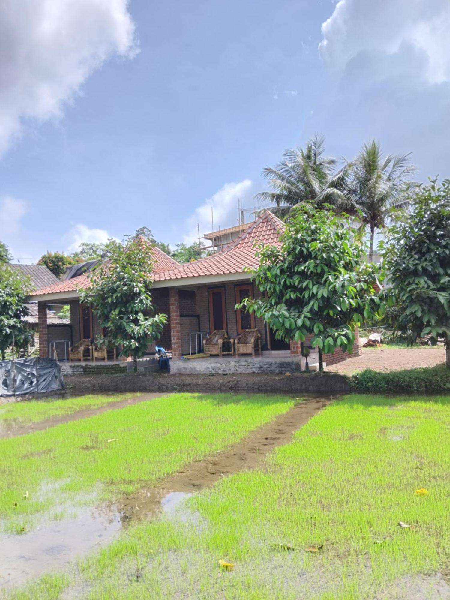 Tereng Wilis Bungalows Tetebatu Extérieur photo