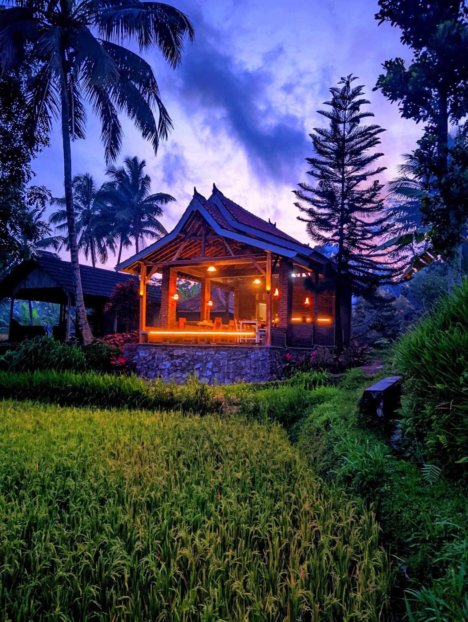 Tereng Wilis Bungalows Tetebatu Extérieur photo